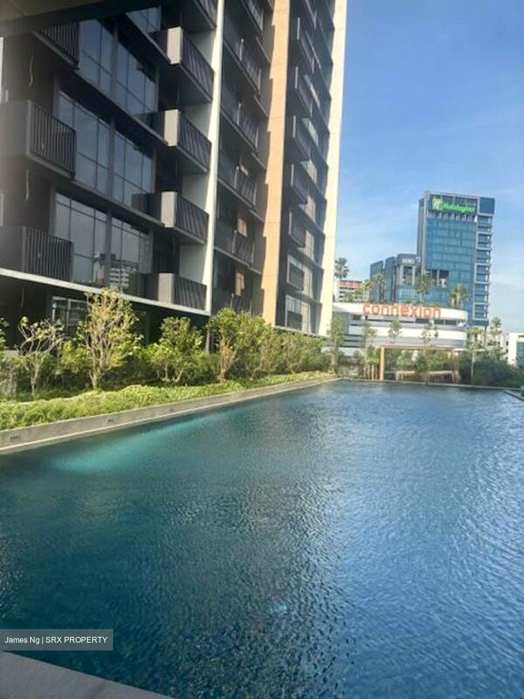Piccadilly Grand (D8), Apartment #498833691